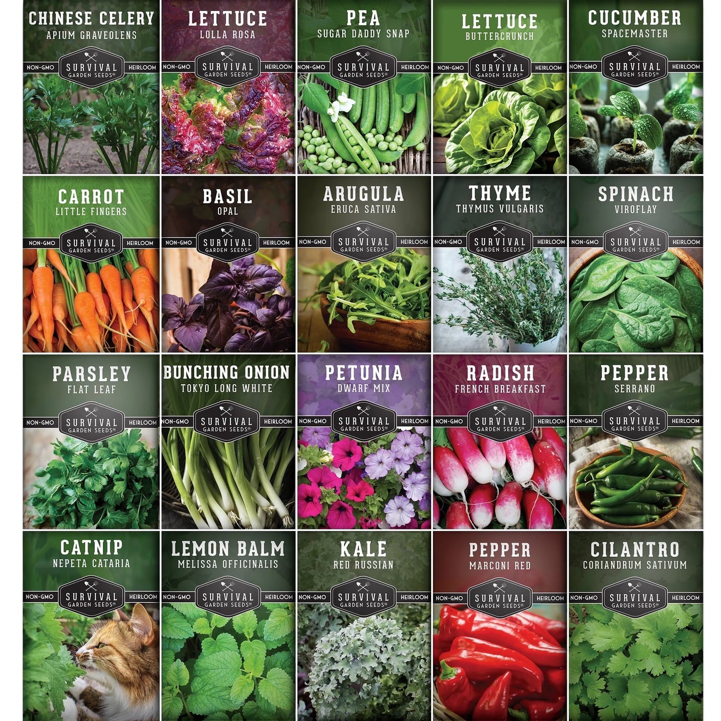 20 Pack Apartment Seed Kit - Heirloom Vegetable Seeds - Container Friendly Part & Full Sun Annuals