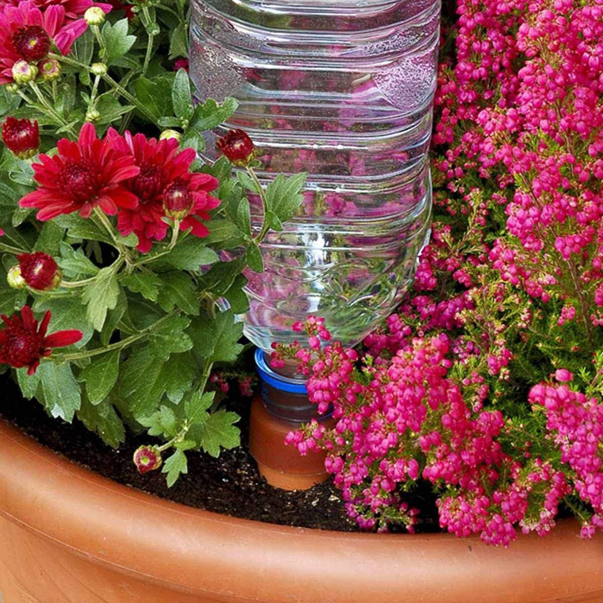 Plant Watering Device - Easy XL Self Watering Planter Insert for Indoor Plants - Bottle Adapter - Prevents Overwatering and Underwatering for Healthy Growth - 6 Pack