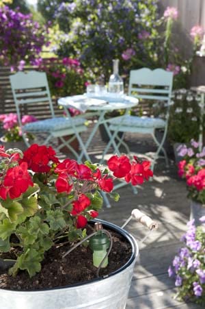 Watering System Stakes 10 Plant Starter Drip Irrigation | Great for Houseplants and Garden
