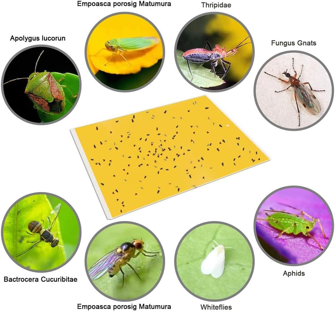 20-Pack Dual-Sided Yellow Sticky Traps for Flying Plant Insect Such as Fungus Gnats, Whiteflies, Aphids, Leafminers,Thrips - (6X8 Inches, Included 20Pcs Twist Ties)