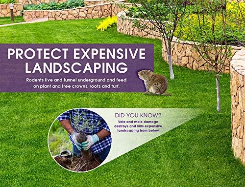 Plant Baskets – Gopher and Vole Baskets, 2-3 Gallon, Pack of 4 – Protect Plants, Trees, Flowers and Bulbs from Voles, Gophers and Moles – a One Time Solution, No Repellent Needed