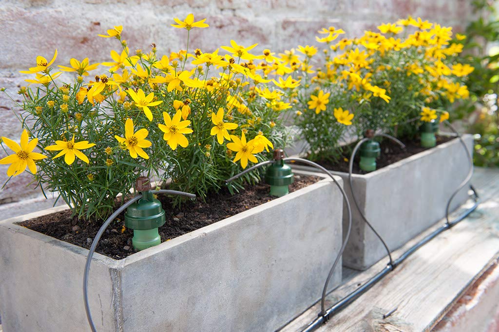 Watering System Stakes 10 Plant Starter Drip Irrigation | Great for Houseplants and Garden