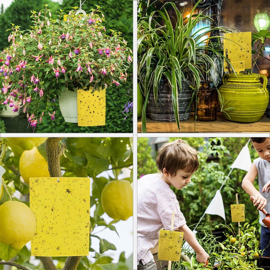 20-Pack Dual-Sided Yellow Sticky Traps for Flying Plant Insect Such as Fungus Gnats, Whiteflies, Aphids, Leafminers,Thrips - (6X8 Inches, Included 20Pcs Twist Ties)
