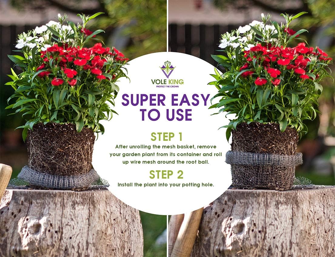 Plant Baskets – Gopher and Vole Baskets, 2-3 Gallon, Pack of 4 – Protect Plants, Trees, Flowers and Bulbs from Voles, Gophers and Moles – a One Time Solution, No Repellent Needed