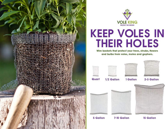 Plant Baskets – Gopher and Vole Baskets, 2-3 Gallon, Pack of 4 – Protect Plants, Trees, Flowers and Bulbs from Voles, Gophers and Moles – a One Time Solution, No Repellent Needed
