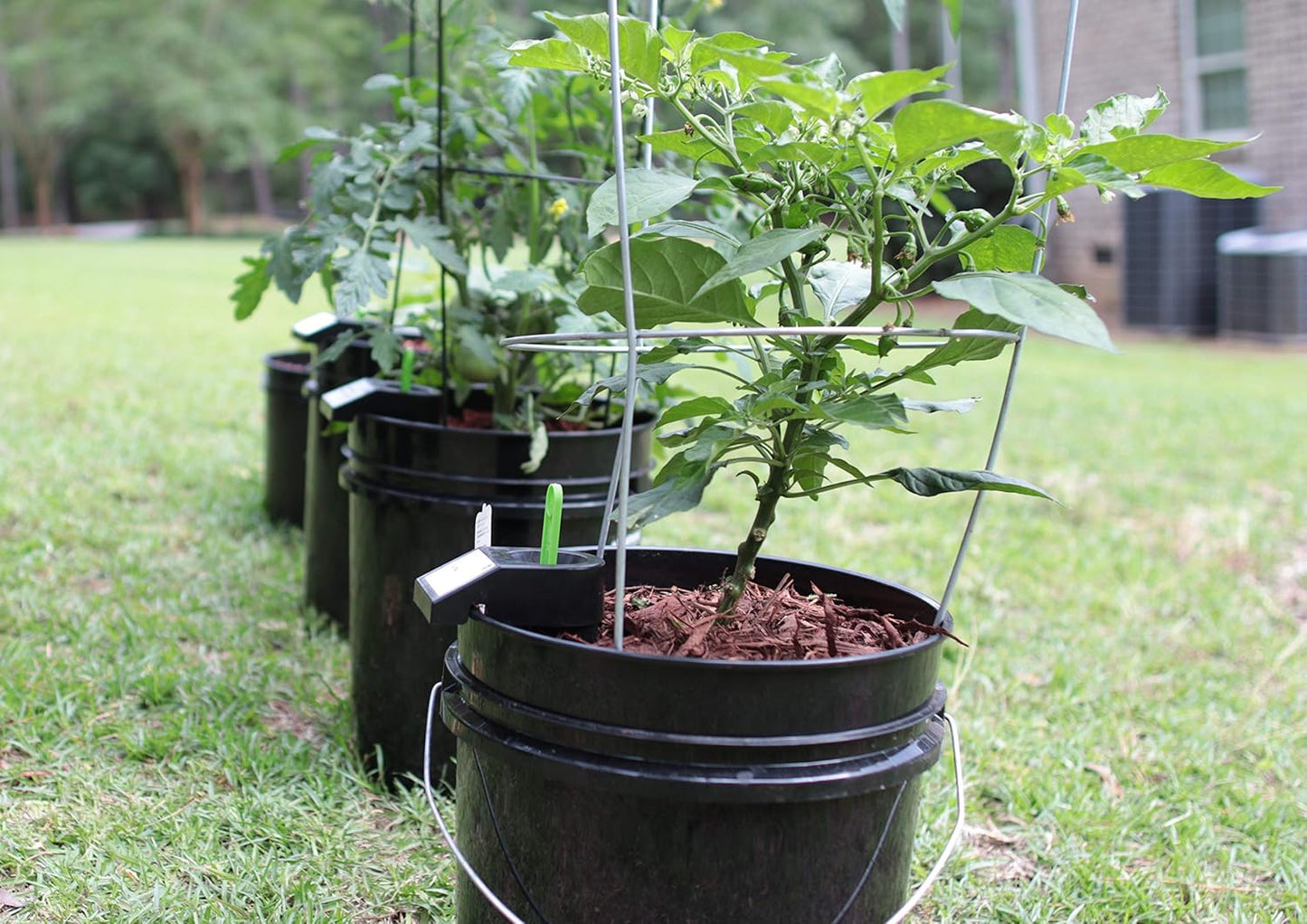 Garden Kit (10PK) Self-Watering Sub-Irrigated Planter Insert. Turn Any Bucket into a Self-Watering Container Garden. Create an Indoor or Outdoor, Space Saving and Portable Garden in Minutes.