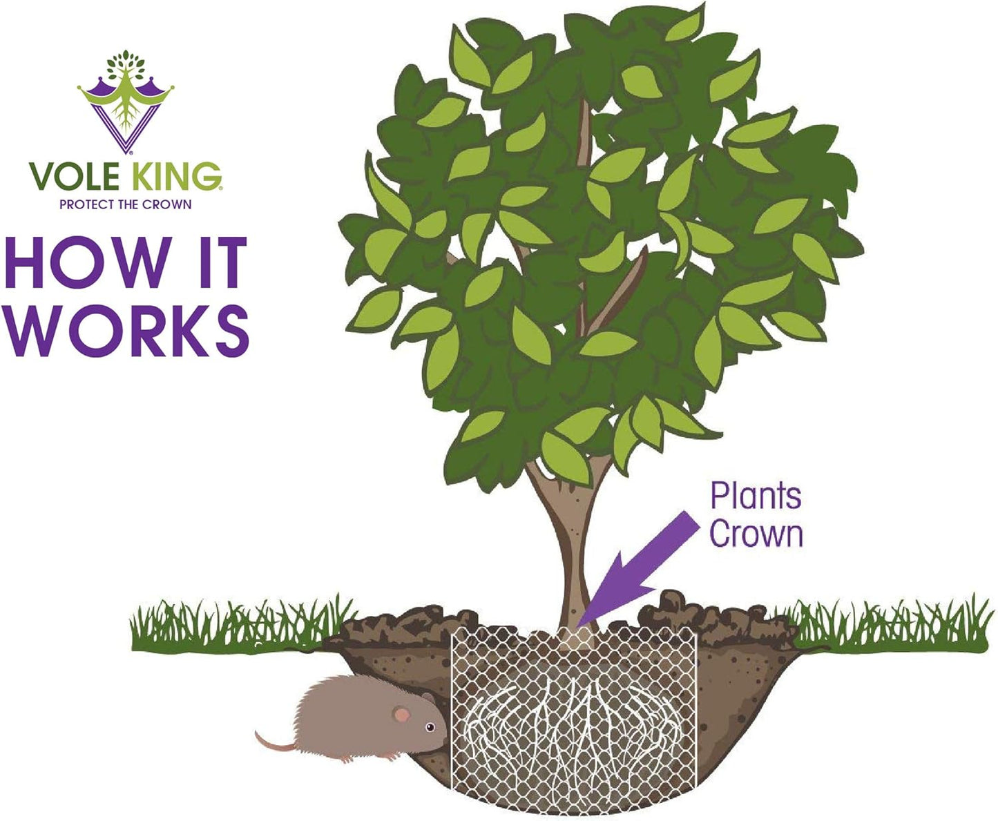 Plant Baskets – Gopher and Vole Baskets, 2-3 Gallon, Pack of 4 – Protect Plants, Trees, Flowers and Bulbs from Voles, Gophers and Moles – a One Time Solution, No Repellent Needed