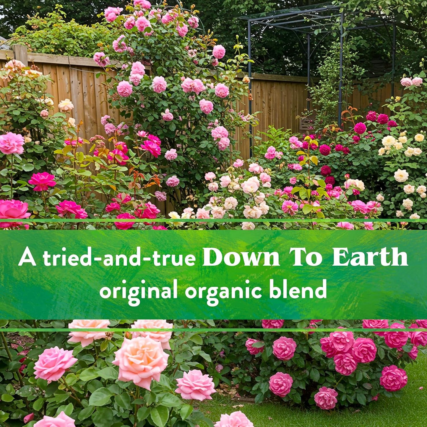 Down to Earth All Natural Rose & Flower Bulb Fertilizer Mix 4-8-4, 1 Lb