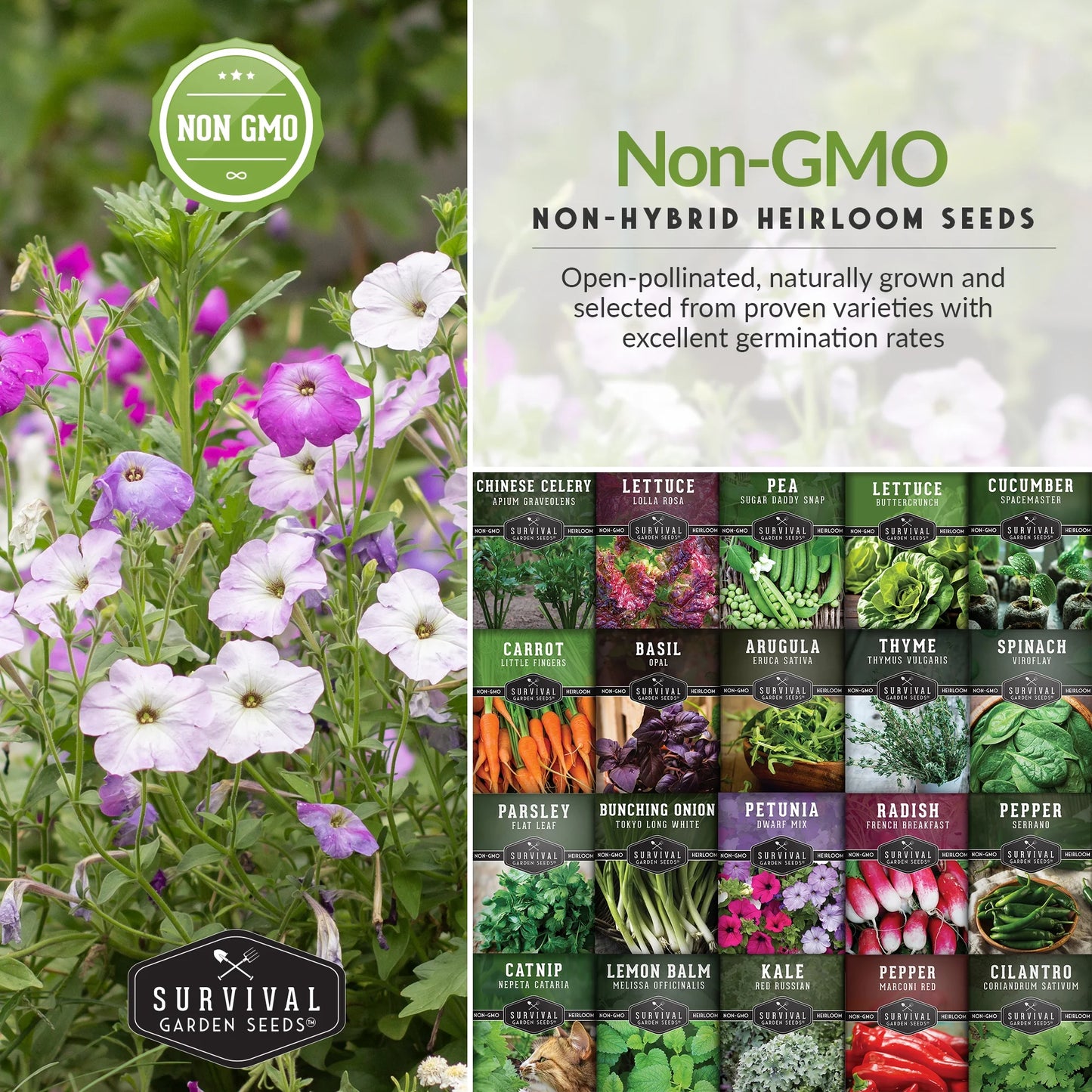 20 Pack Apartment Seed Kit - Heirloom Vegetable Seeds - Container Friendly Part & Full Sun Annuals