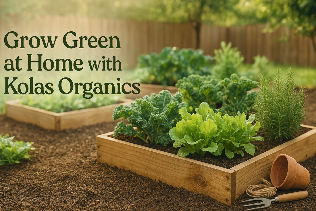 🌱 “Pot It or Plot It?” — How to Choose Between Potting Soil and Garden Soil for Your Grow Goals