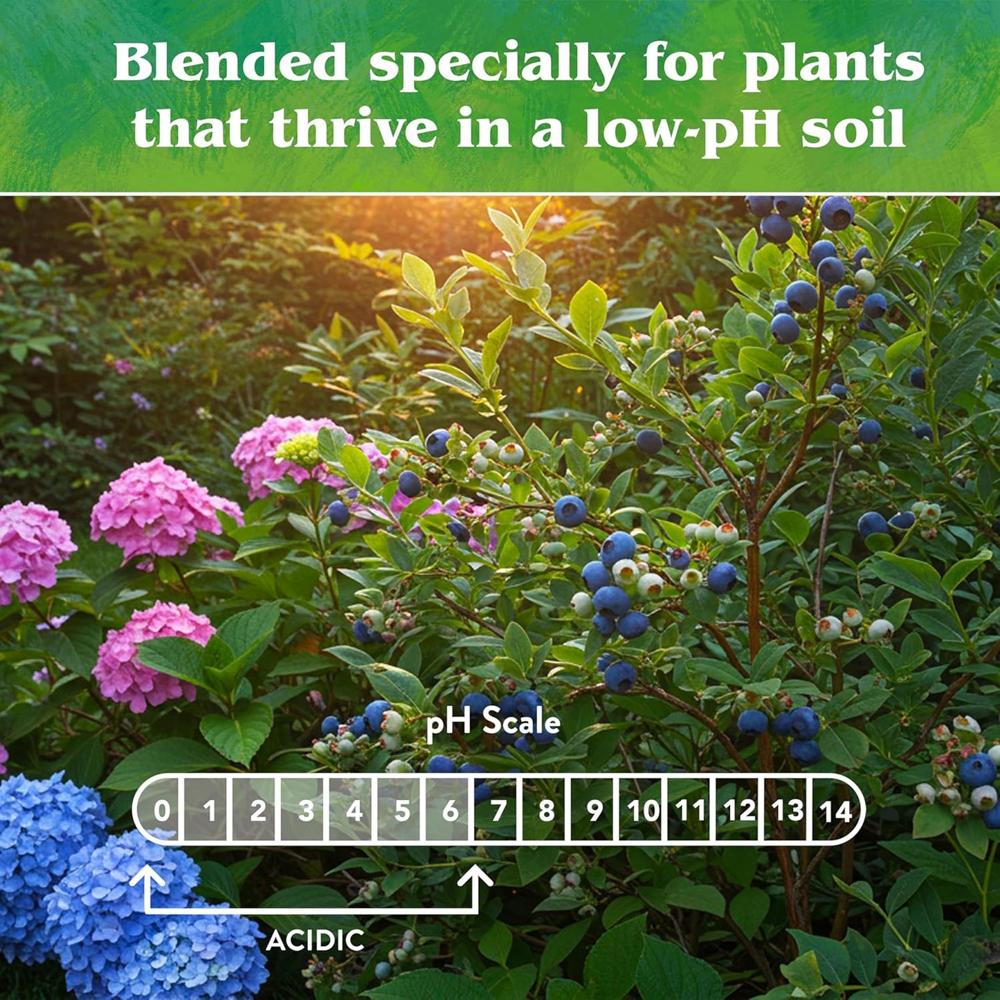 All Natural Acid Mix Fertilizer 4-3-6, 5 Lb
