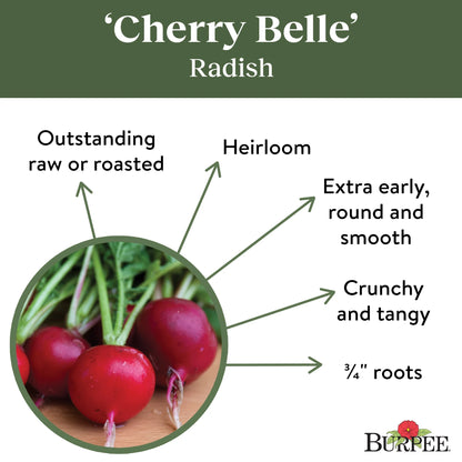 Organics Cherry Belle Radish Seeds - Non-Gmo, Heirloom Organic Vegetable Gardening Seeds, 4.6G, 1-Pack
