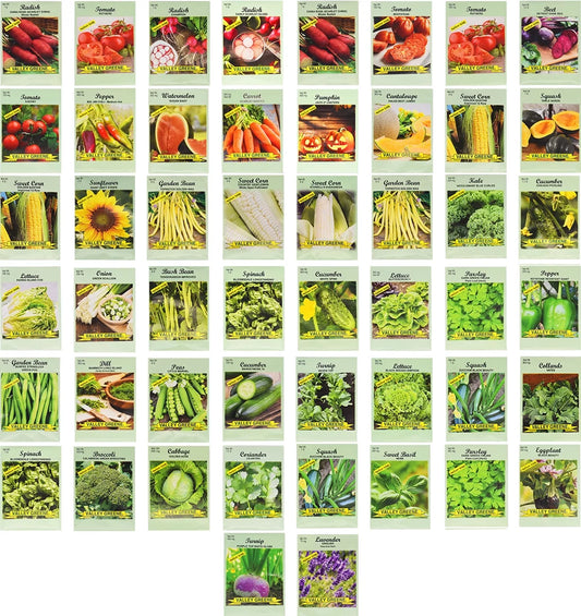 50 Packs Assorted Heirloom Vegetable Seeds 30+ Varieties All Seeds Are Heirloom & Non-Gmo