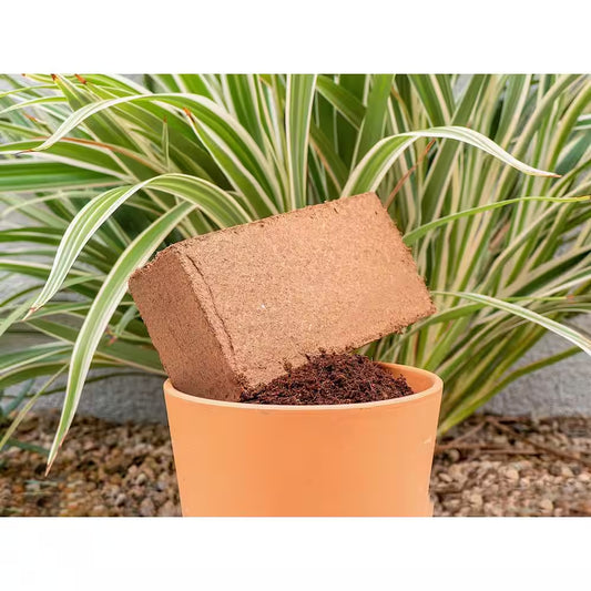 1.5 Lbs. Coco Coir Briquette Potting Soil (3-Pack)
