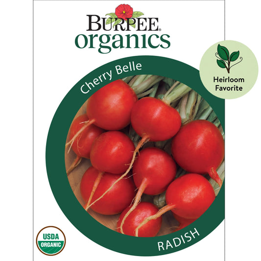 Organics Cherry Belle Radish Seeds - Non-Gmo, Heirloom Organic Vegetable Gardening Seeds, 4.6G, 1-Pack