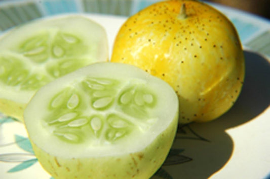 Cucumber Lemon Great Heirloom Vegetable by  BULK 1 Lb Seeds