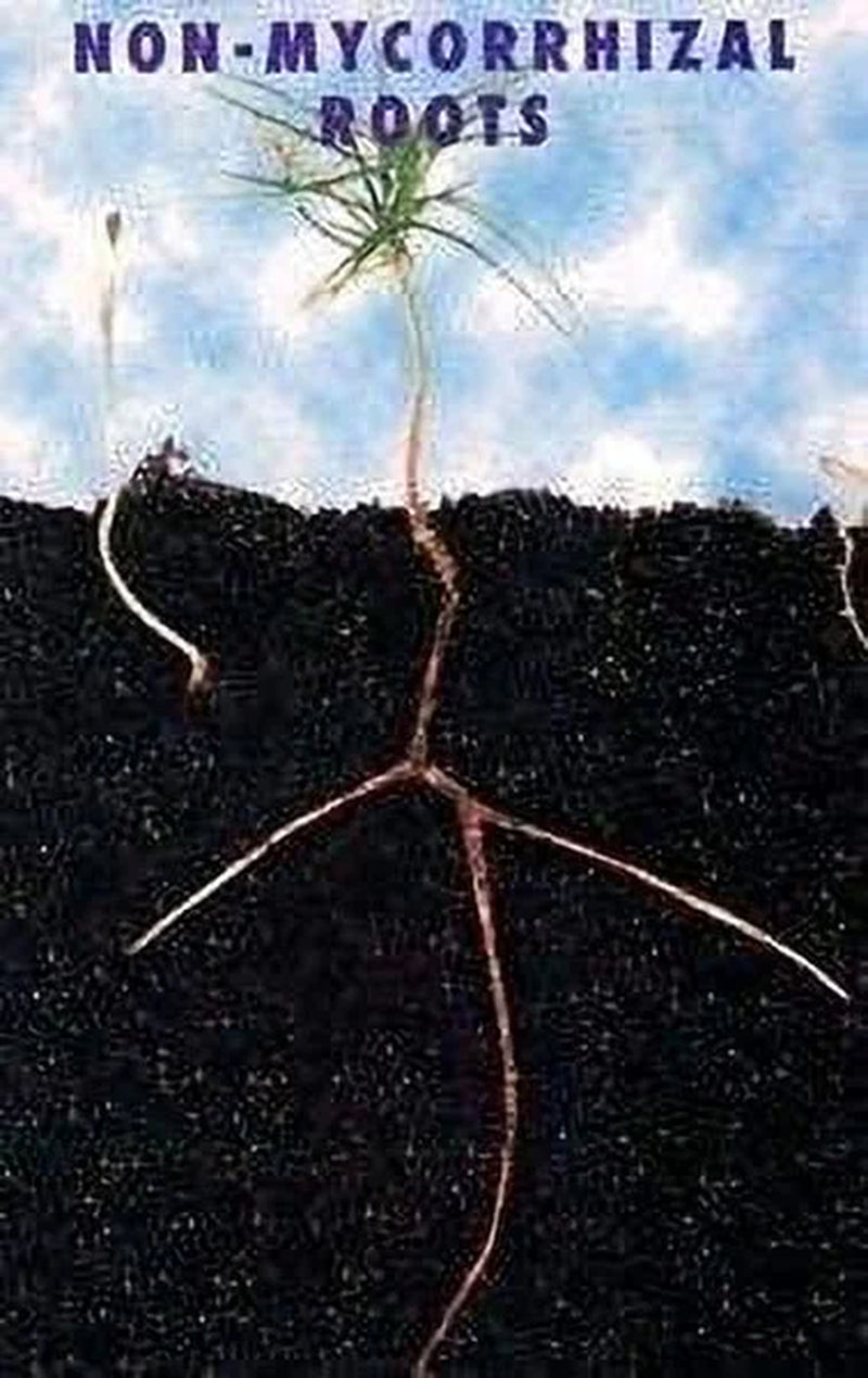 Mycorrhizae Concentrate, 8 Oz