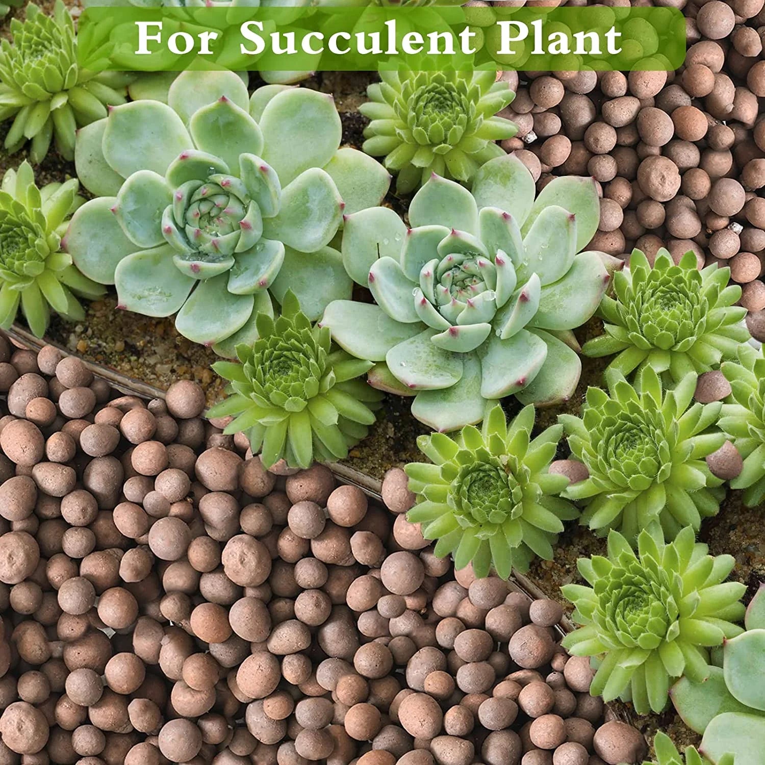 clay Pebbles Soil Additive, Reddish-Brown, 10 Lbs