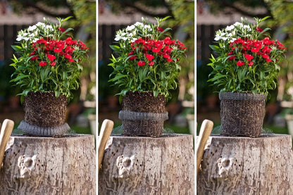 Plant Baskets – Gopher and Vole Baskets, 2-3 Gallon, Pack of 4 – Protect Plants, Trees, Flowers and Bulbs from Voles, Gophers and Moles – a One Time Solution, No Repellent Needed