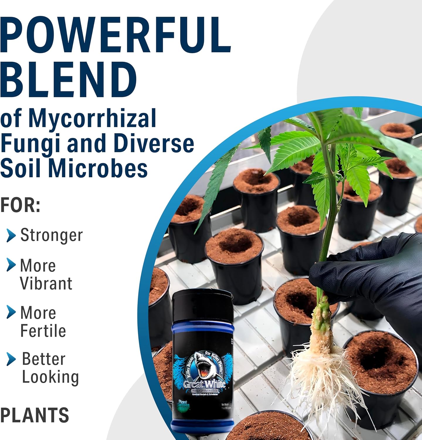 Mycorrhizal Fungi 4 Oz, Beneficial Bacteria for Plant Growth, Root Stimulator, Concentrated 3-In-1 Formula by