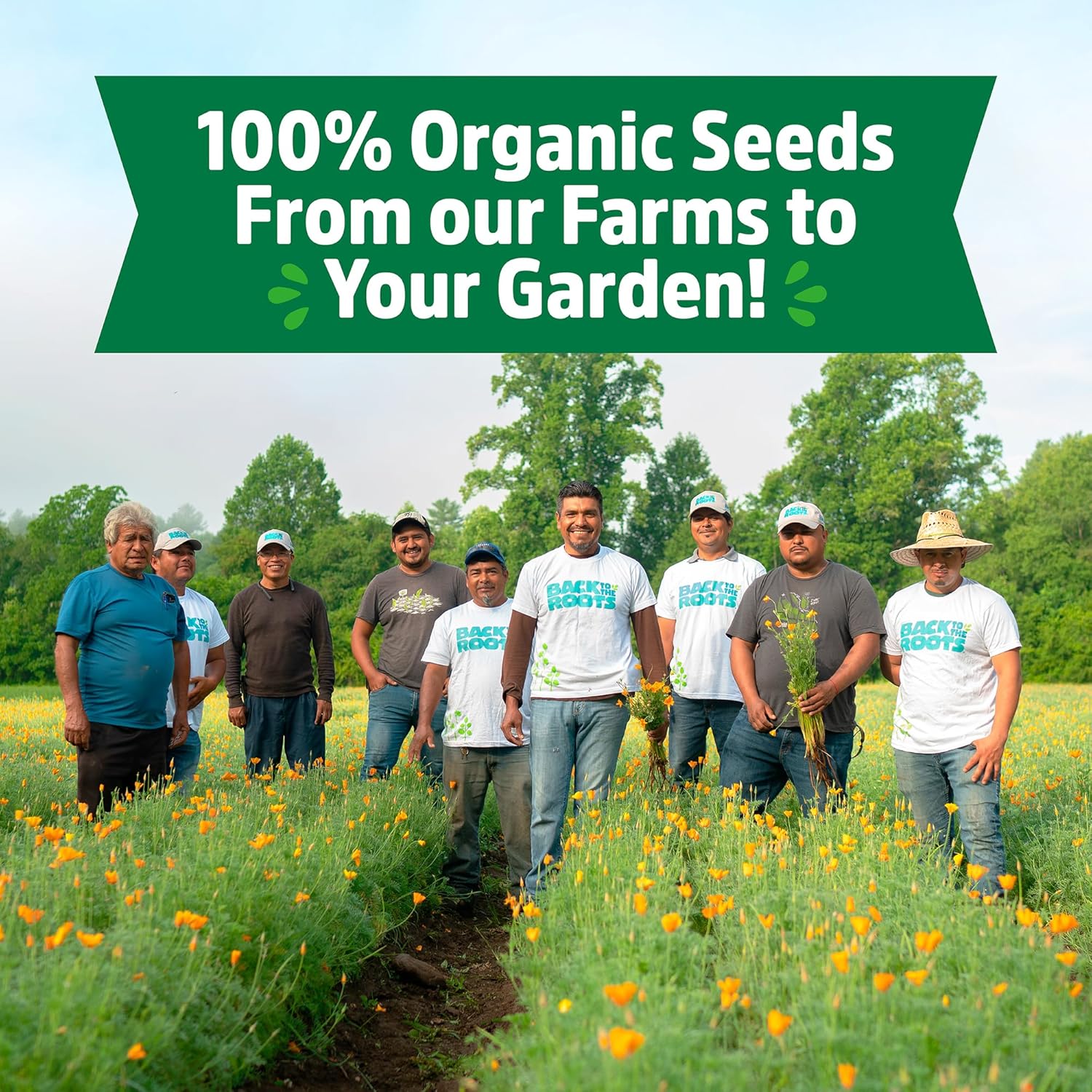 Heirloom Organic, Non-Gmo & USA Grown Seeds, 30Ct Herb, Fruit, and Veggies, Assortment May Vary, Guaranteed to Grow