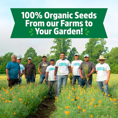 Heirloom Organic, Non-Gmo & USA Grown Seeds, 30Ct Herb, Fruit, and Veggies, Assortment May Vary, Guaranteed to Grow