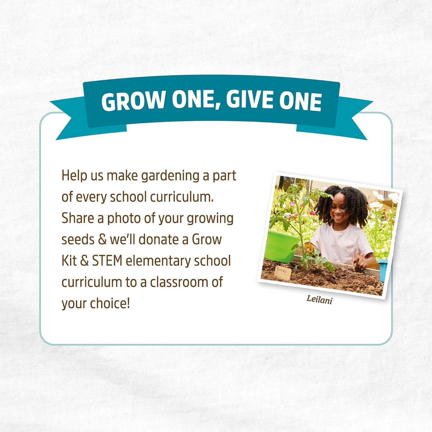 Heirloom Organic, Non-Gmo & USA Grown Seeds, 30Ct Herb, Fruit, and Veggies, Assortment May Vary, Guaranteed to Grow