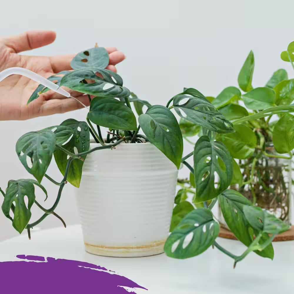 Organic Indoor Potting Mix, All Natural Premium Soil 8 Qt., OMRI Listed