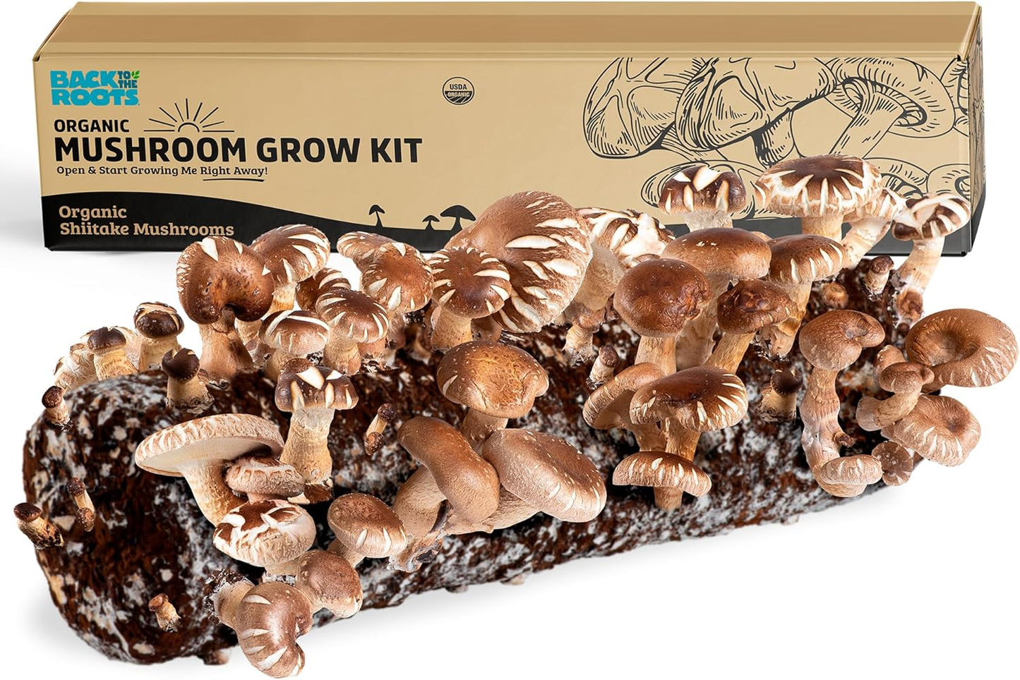 Organic Pink Mushroom Grow Kit, Harvest Gourmet Mushrooms in 10 Days